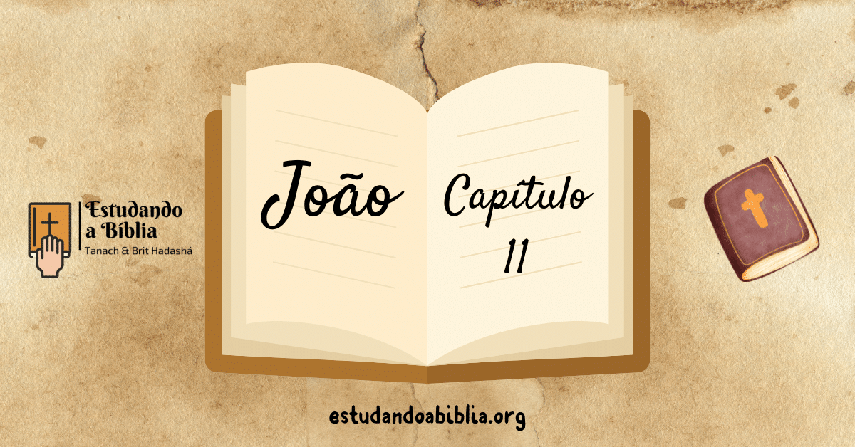Evangelho de João &#8211; Capítulo 11